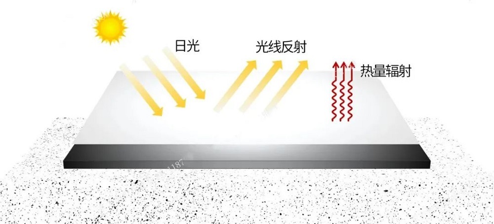 1_241015170117_1 BOBty(BOBSport)官方网站